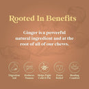 Chimes Ginger Chews - Orange